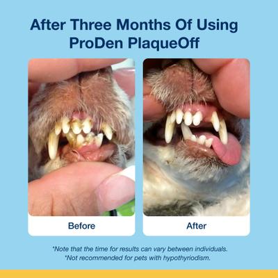 Plaqueoff System Holistic Oral Care with Hip & Joint Adult Dental Dog Treats, 6-oz bag, count varies