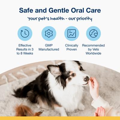 Plaqueoff System Holistic Oral Care with Hip & Joint Adult Dental Dog Treats, 6-oz bag, count varies