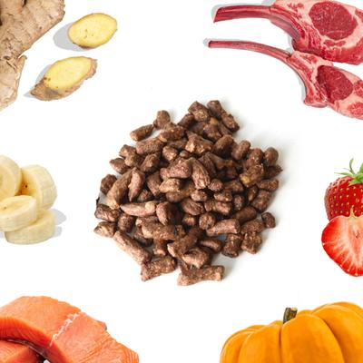 Lamb & Salmon Bites Freeze-Dried Raw Dog Food Kibble-Style, 14-oz bag