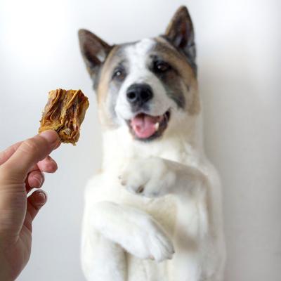 Cod Skin Crunchy Single-Ingredient Dog & Cat Treats, 2.8-oz bag