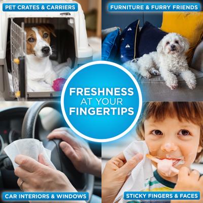 Toallitas para eliminar olores de mascotas, 100 unidades