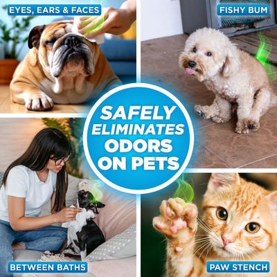 Toallitas para eliminar olores de mascotas, 100 unidades