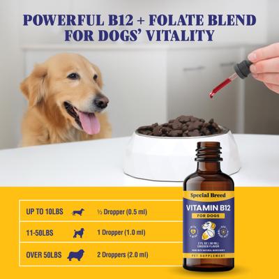 Vitamin B12 Chicken Flavored Liquid Dog Vitamin, 2-fl oz bottle