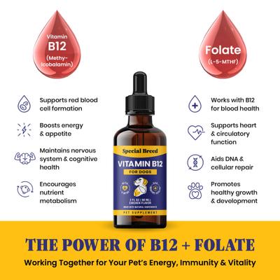 Vitamin B12 Chicken Flavored Liquid Dog Vitamin, 2-fl oz bottle