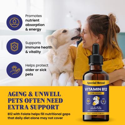 Vitamin B12 Chicken Flavored Liquid Dog Vitamin, 2-fl oz bottle