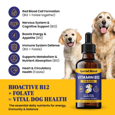 Vitamin B12 Chicken Flavored Liquid Dog Vitamin, 2-fl oz bottle