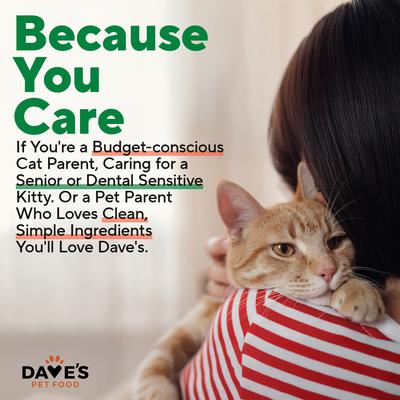 Naturally Healthy Chicken Dinner Formula Pate Grain-Free Canned Wet Cat Food, 22-oz can, case of 12