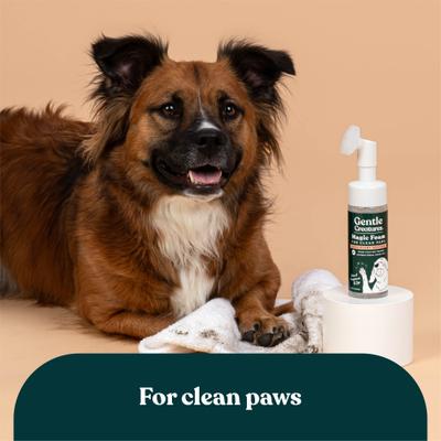Champú sin agua Magic Foam para limpiar patas de perros y gatos, botella de 147 ml