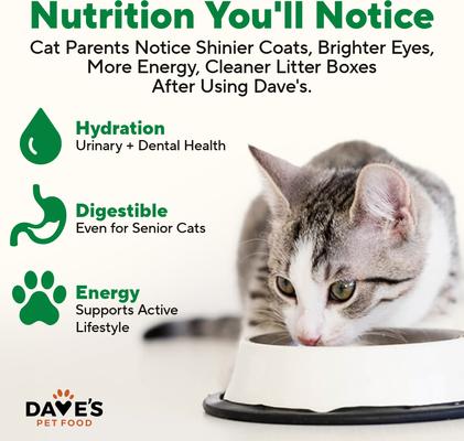 Naturally Healthy Chicken Dinner Formula Pate Grain-Free Canned Wet Cat Food, 22-oz can, case of 12