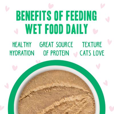 Play Pate Lovers Tuna & Lamb Lovers' Lane Wet Cat Food, 2.8-oz can, pack of 12