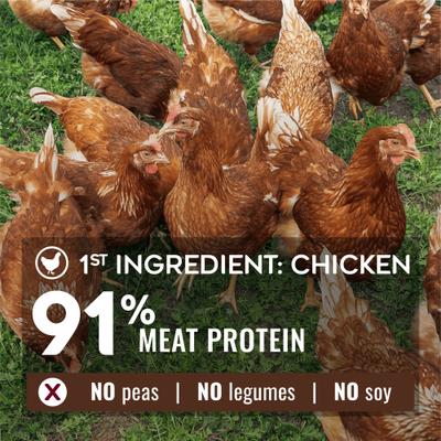 Nature’s Logic Pure Naturals 100% Natural Chicken Recipe Synthetic-Free Dry Dog Food, 24-lb bag