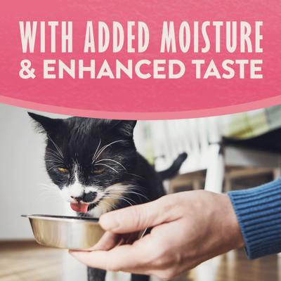 Split Cup Salmon & Sweet Potato Recipe Limited Ingredient Soft Pate in Broth Wet Cat Food, 2.6-oz cup, case of 10