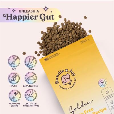 Golden Chicken Recipe Dry Dog Food, 4-lb bag