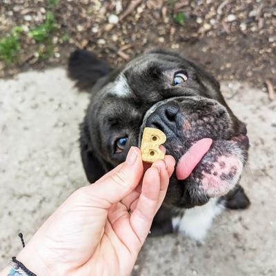 Bundle: Bocce's Bakery Burgers & Fries Beef, Sweet Potatoes & Cheese Dog Treats, 5-oz bag + Bac'n Nutty PB & Bacon Training Bites Dog Treats, 6-oz bag