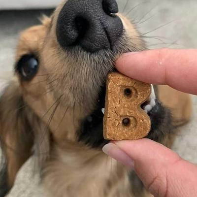 Bundle: Bocce's Bakery Soft & Chewy Peanut Butter & Banana Recipe Dog Treats, 6-oz bag + Cheese Recipe Dog Treats, 6-oz bag