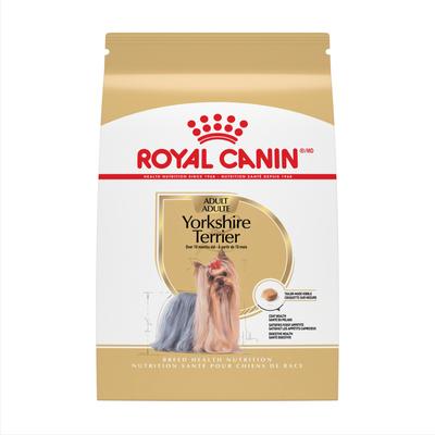 Paquete: Alimento seco para perros adultos Royal Canin Yorkshire Terrier + premios dentales Greenies Teenie para perros