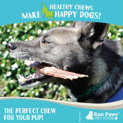 Beef Esophagus 6-inch Dog Chews, 40 count