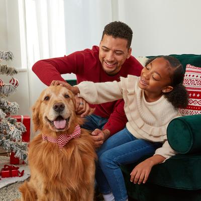 12 Days of Woofmas Countdown Calendar Beef & Peanut Butter Crunchy Adult Dog Treats, 2.85-oz box