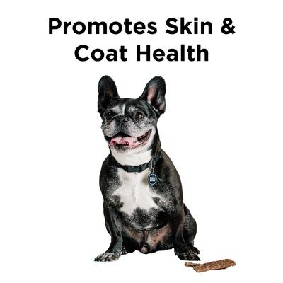 Skin & Coat Salmon Jerky Dog Treats, 10-oz bag