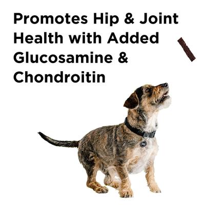 Hip & Joint Chicken Jerky Dog Treats, 12-oz bag