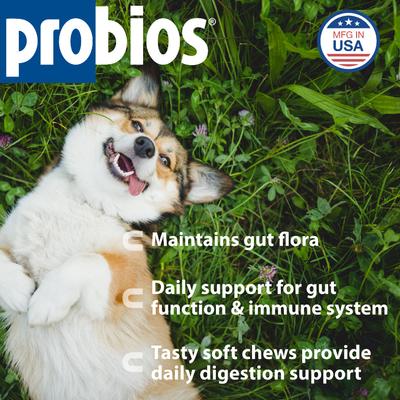 Masticables blandos con probióticos para perros medianos y grandes, 60 unidades