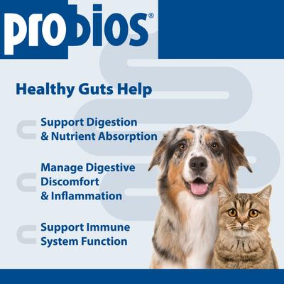 Probiocin Oral Gel Dog & Cat Supplement, 15g syringe