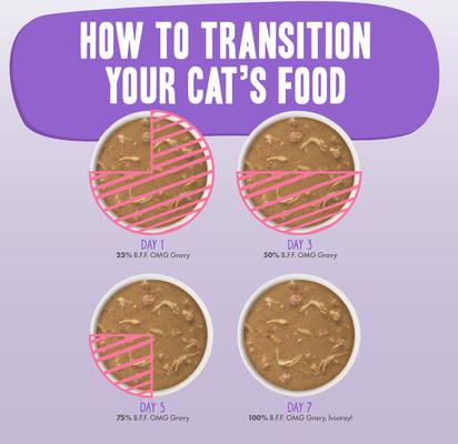 OMG Best Day Eva! Beef & Salmon Dinner in Gravy Grain-Free Canned Cat Food, 2.8-oz, case of 12