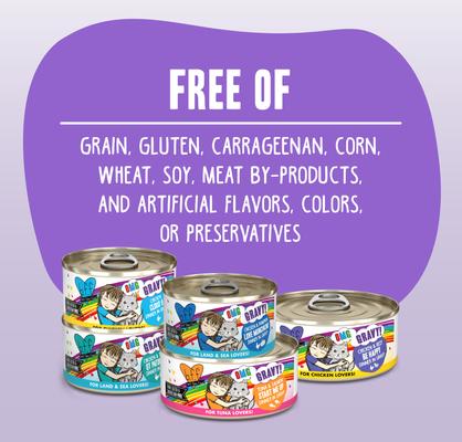 OMG Best Day Eva! Beef & Salmon Dinner in Gravy Grain-Free Canned Cat Food, 2.8-oz, case of 12