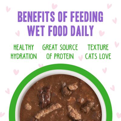 OMG Lights Out! Tuna & Lamb Wet Canned Cat Food, 5.5-oz can, case of 8