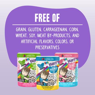 OMG Booya! Beef & Chicken Dinner in Gravy Grain-Free Cat Food Pouches, 2.8-oz, pack of 12