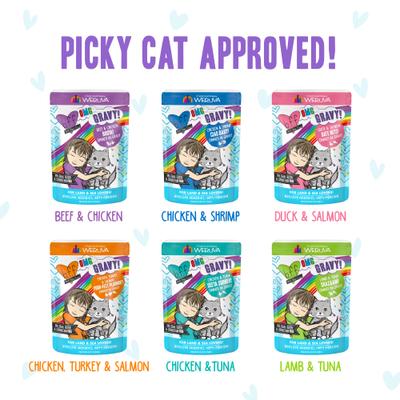 OMG Potluck O' Pouches Variety Pack Grain-Free Cat Food Pouches, 2.8-oz, pack of 12