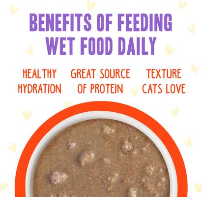 OMG Stir It Up! Chicken & Salmon in Gravy Wet Canned Cat Food, 5.5-oz can, case of 8