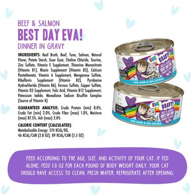 OMG Best Day Eva! Beef & Salmon Dinner in Gravy Grain-Free Canned Cat Food, 2.8-oz, case of 12