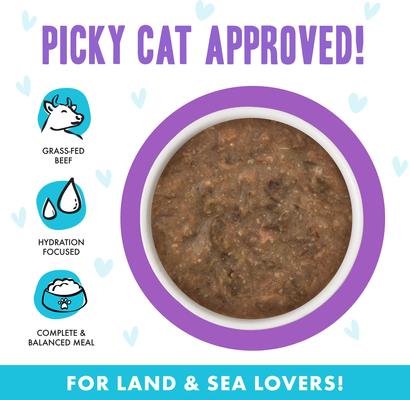 OMG Best Day Eva! Beef & Salmon Dinner in Gravy Grain-Free Canned Cat Food, 2.8-oz, case of 12