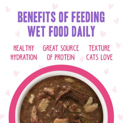 OMG Potluck O' Pouches Variety Pack Grain-Free Cat Food Pouches, 2.8-oz, pack of 12