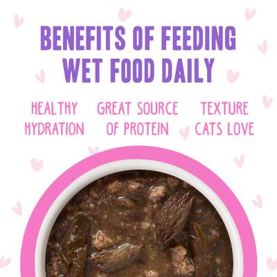 Tuna & Duck Devour Me Dinner in Gravy Wet Cat Food Pouches, 3-oz, case of 12