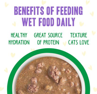 OMG Live N' Love! Chicken & Lamb in Gravy Wet Canned Cat Food, 2.8-oz can, case of 12