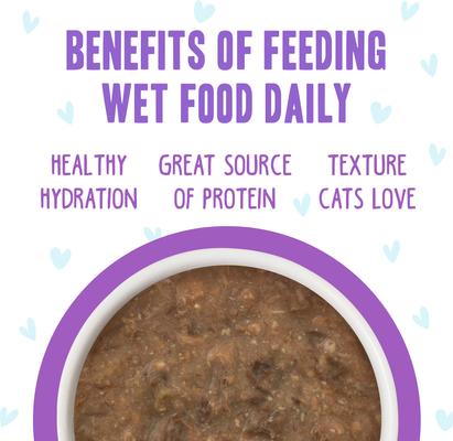 OMG Best Day Eva! Beef & Salmon Dinner in Gravy Grain-Free Canned Cat Food, 2.8-oz, case of 12