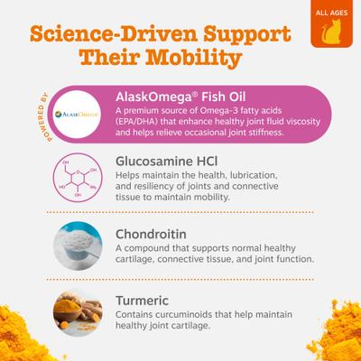 Hip & Joint Glucosomine Mobility Bites Chicken Flavored Soft Chew Supplement for Cats, 60 count