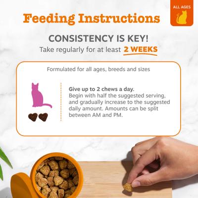 Hip & Joint Glucosomine Mobility Bites Chicken Flavored Soft Chew Supplement for Cats, 60 count