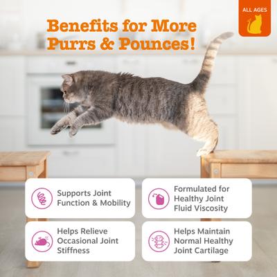 Hip & Joint Glucosomine Mobility Bites Chicken Flavored Soft Chew Supplement for Cats, 60 count