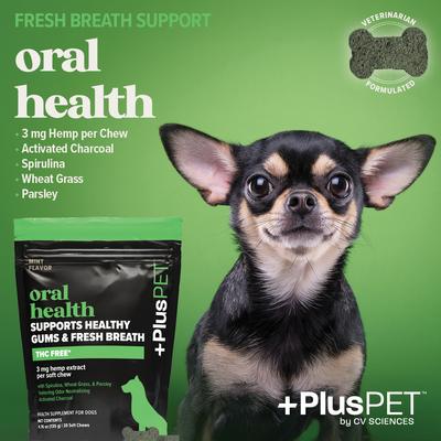 Broad Spectrum Hemp Extract Mint Flavored Soft Chew Oral Health Supplement for Dogs, 30 count