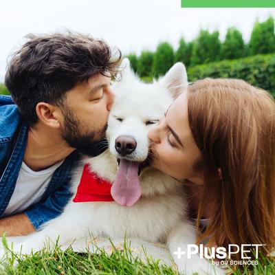 Broad Spectrum Hemp Extract Mint Flavored Soft Chew Oral Health Supplement for Dogs, 30 count