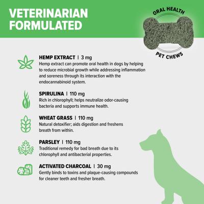 Broad Spectrum Hemp Extract Mint Flavored Soft Chew Oral Health Supplement for Dogs, 30 count