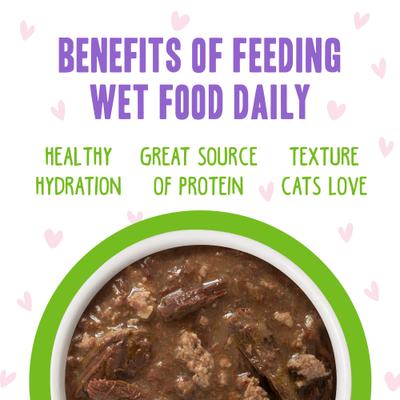 Tuna & Lamb Luv Ya Dinner in Gravy Wet Cat Food Pouches, 3-oz, case of 12