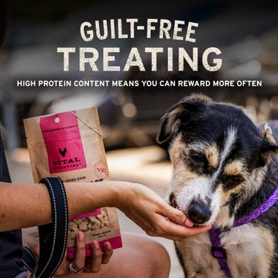 Salmon Bites Grain-Free Freeze-Dried Raw Dog Treats, 5-oz bag