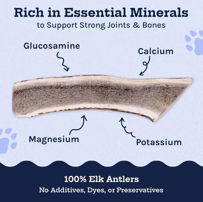 Elk Antler Split Dog Treats, Small, 2 count