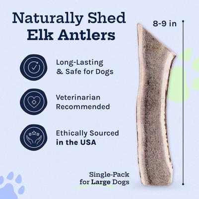 Elk Antler Split Dog Treat, Large