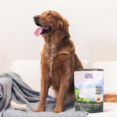 Elk Antler Split Dog Treat, Medium