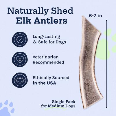 Elk Antler Split Dog Treat, Medium